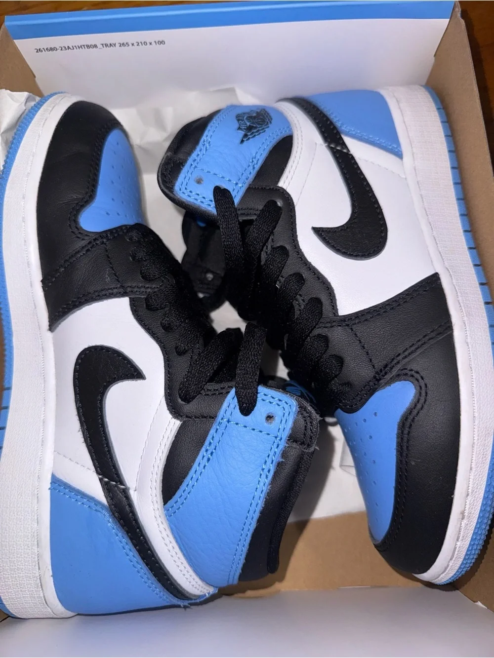 Air Jordan 1 Retro High OG (GS) 